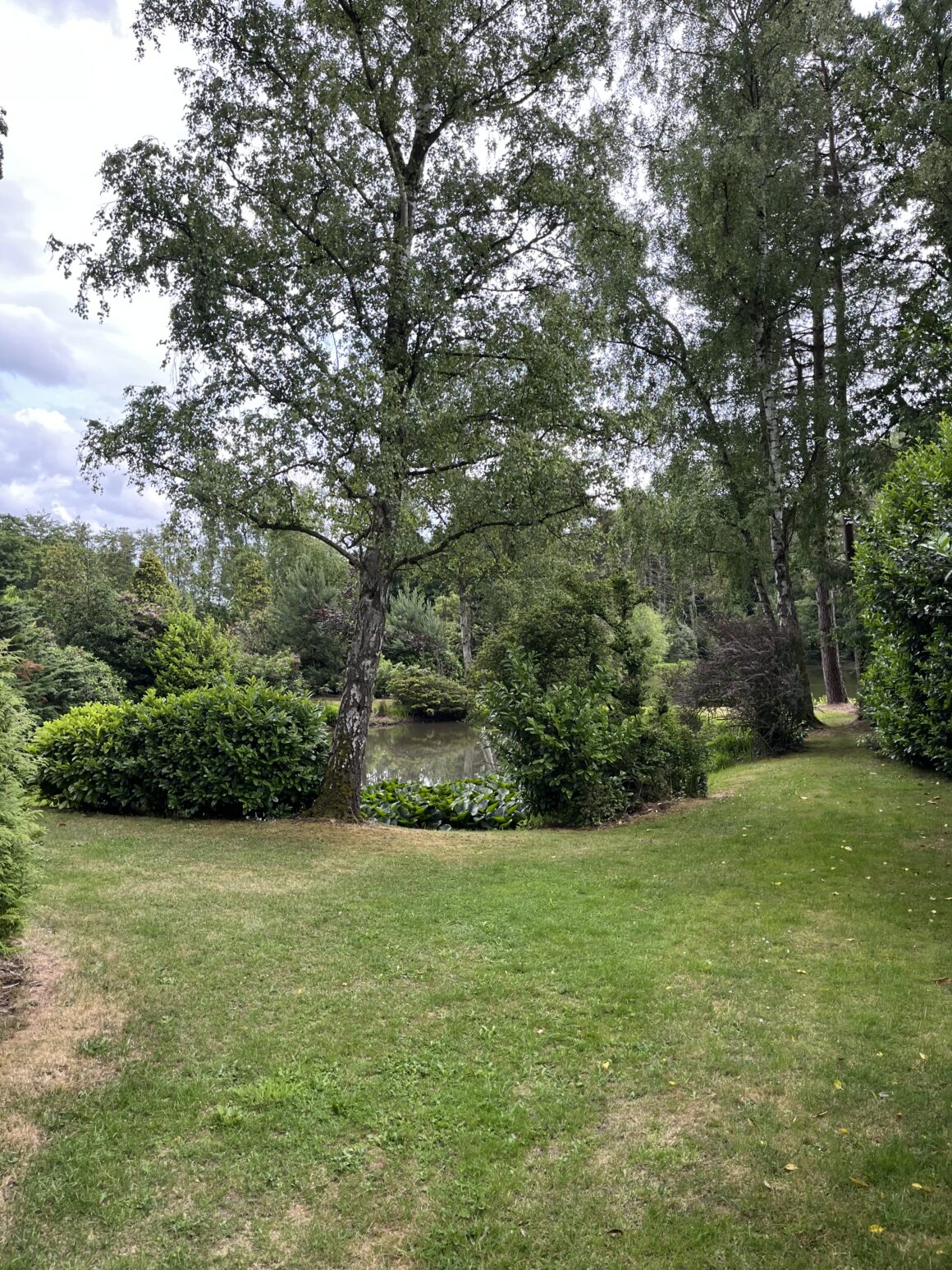 IMG_7769 Carpe carp – een nieuw hoofdstuk