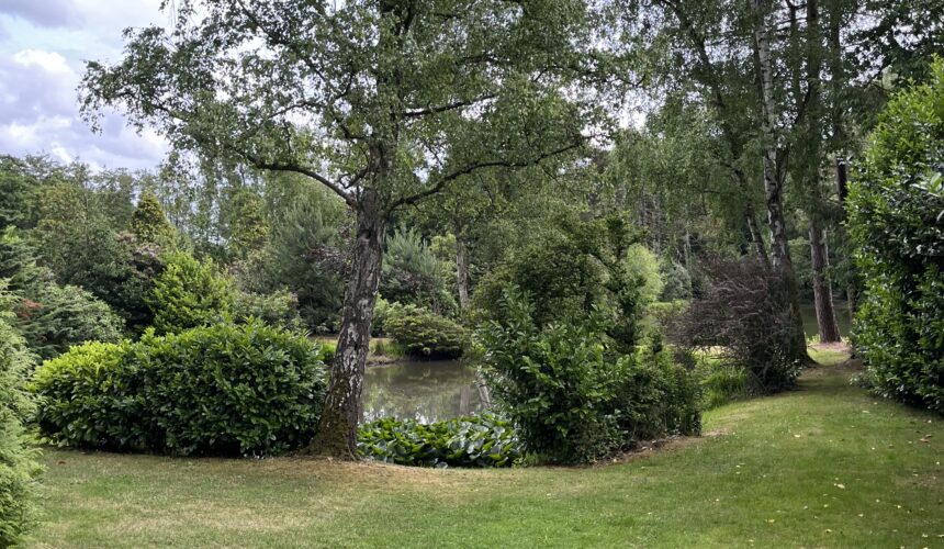 Carpe carp – een nieuw hoofdstuk