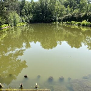 Carpe carp – een nieuw hoofdstuk