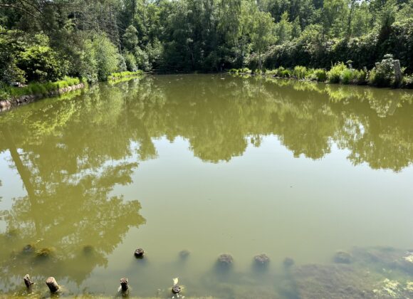 Carpe carp – een nieuw hoofdstuk